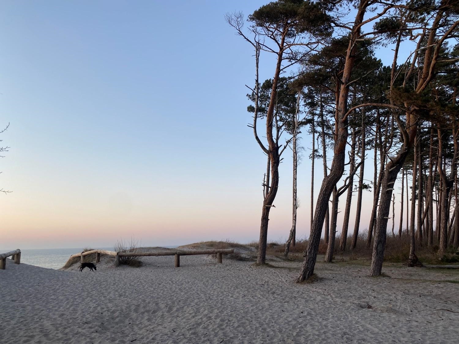 Plaża w Rusinowie